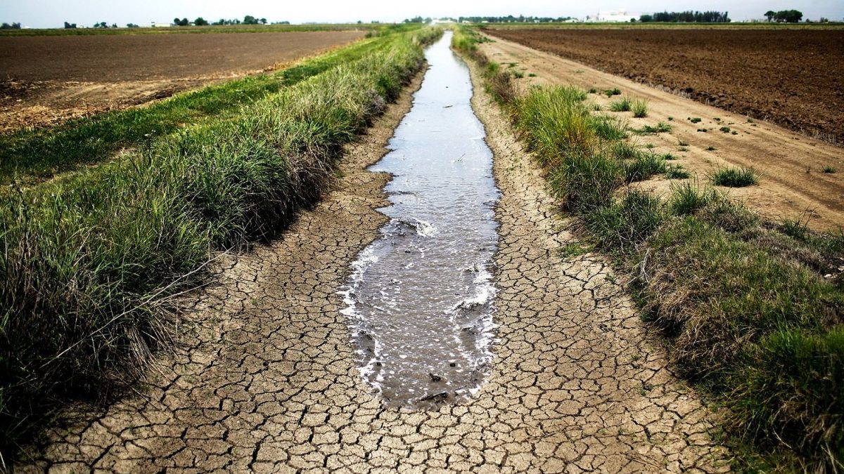 Sequía: ya impacta en las cuentas externas y públicas de Argentina.