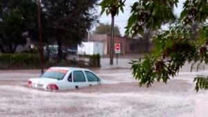 Video: un impresionante temporal de lluvia y granizo golpeó a General Acha y Santa Rosa