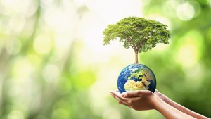Día de la Tierra: por qué se celebra el 22 de abril y desde cuándo se conmemora