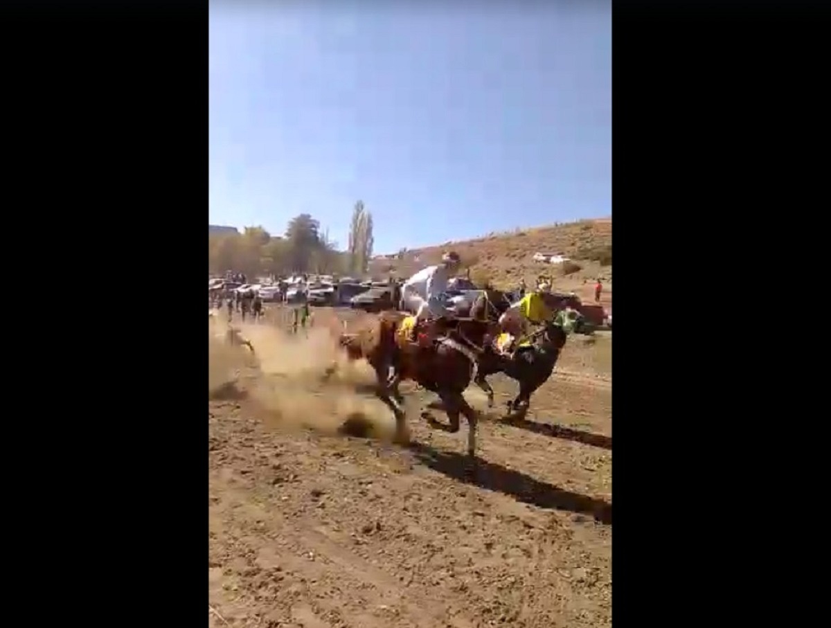 Video: Un jinete voló varios metros en Andacollo,  se cruzó un perro en una carrera de caballos