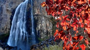 Recorren los lugares más lindos del norte neuquino: mirá qué maravilla esta cascada en otoño
