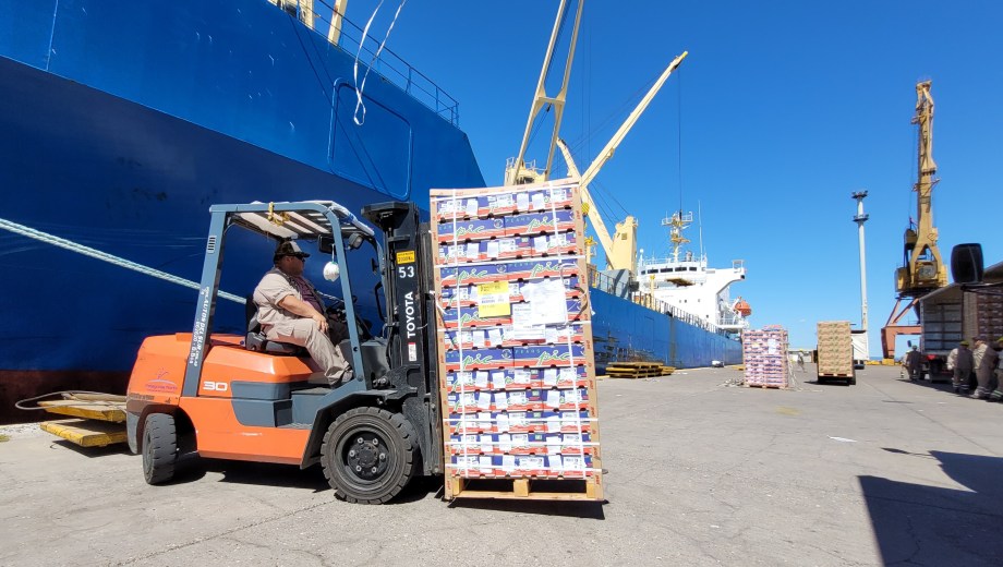 Para julio o agosto se conocerán los primeros valores para la pera enviada a mercados de ultramar.