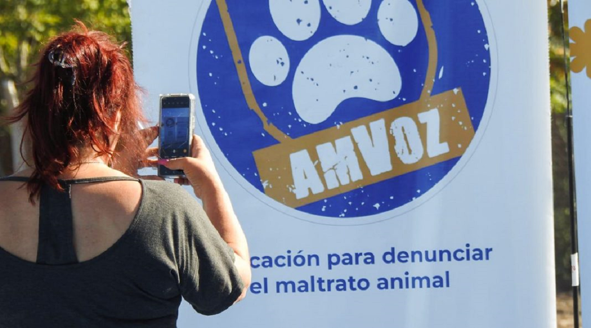 Metió a su gato en una estufa a leña y fue condenado por crueldad animal, en Neuquén . Foto: archivo. 