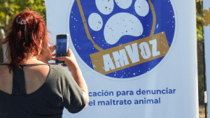 Subió un video ahorcando a su perro y fue denunciado por vecinos en Neuquén