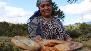 Muday, catutos y pan de piñón: la cocina ancestral en el Festival Nacional del Chef Patagónico 2023