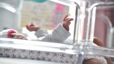 España registró en 2023 el número más bajo de nacimientos de su historia. Foto: RT.