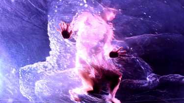 Video: reviví el impresionante estreno de Fuerza Bruta en Neuquén