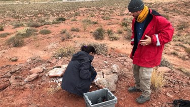 Descubrieron el fémur de un titanosaurio en Añelo. Foto: Prensa UNCo