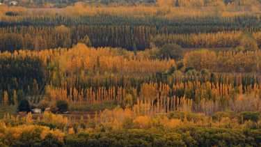 Visitar la Patagonia argentina en otoño trae ventajas: es la fiesta de los colores, no hay tantos turistas y los días pueden ser muy agradables. Foto: Alejandro Carnevale.