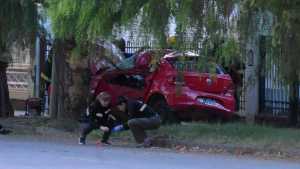 Video: murió un joven en Roca por un choque contra un árbol en la zona del Canalito