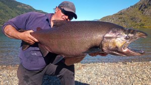 «No me lo olvido más»: pescó un salmón de 16 kilos en Lago Puelo, a 20 km de El Bolsón