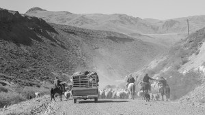 La larga historia de los Hernández, allá en el paraje Cajón Nuevo, cerca de la laguna Buraleo
