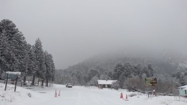 «Se largó»: Así cae la nieve en el Parque Nacional Lanín