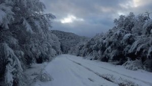 Alerta de intensas nevadas para mañana domingo en el Parque Nacional Nahuel Huapi