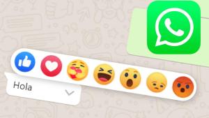 WhatsApp: la nueva función que festejan todos los usuarios