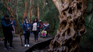 Bariloche: una celebración distinta en un entorno natural increíble y con pájaros carpinteros en la despedida
