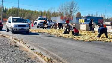 Camión perdió la carga de manzanas en la Rotonda de la Ruta 151, camino al tercer puente. Foto Móvil LU19.