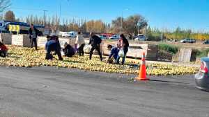 ¡Qué peligro! en el Tercer Puente, un camión perdió manzanas y se abalanzan a buscarlas