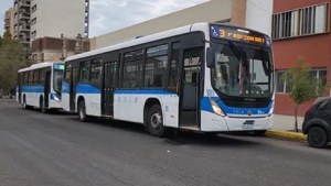 Video: dos colectivos chocaron en el centro de Neuquén, mirá como quedaron