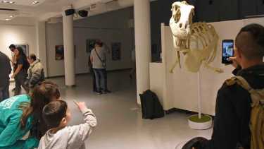 La muestra se realizará en el Complejo Cultural Cipolletti a partir de este jueves. Foto: Archivo (Florencia Salto).