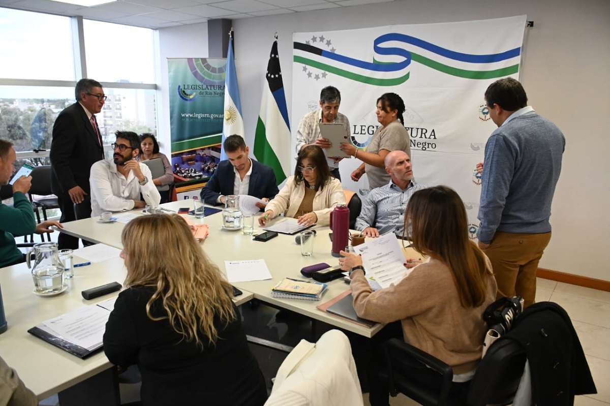 La comisión del Fondo Especial para Obras de Gas se reunió con la presencia de funcionarios provinciales. Foto: Marcelo Ochoa.