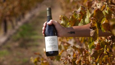 Estate 1909, la nueva era de Humberto Canale