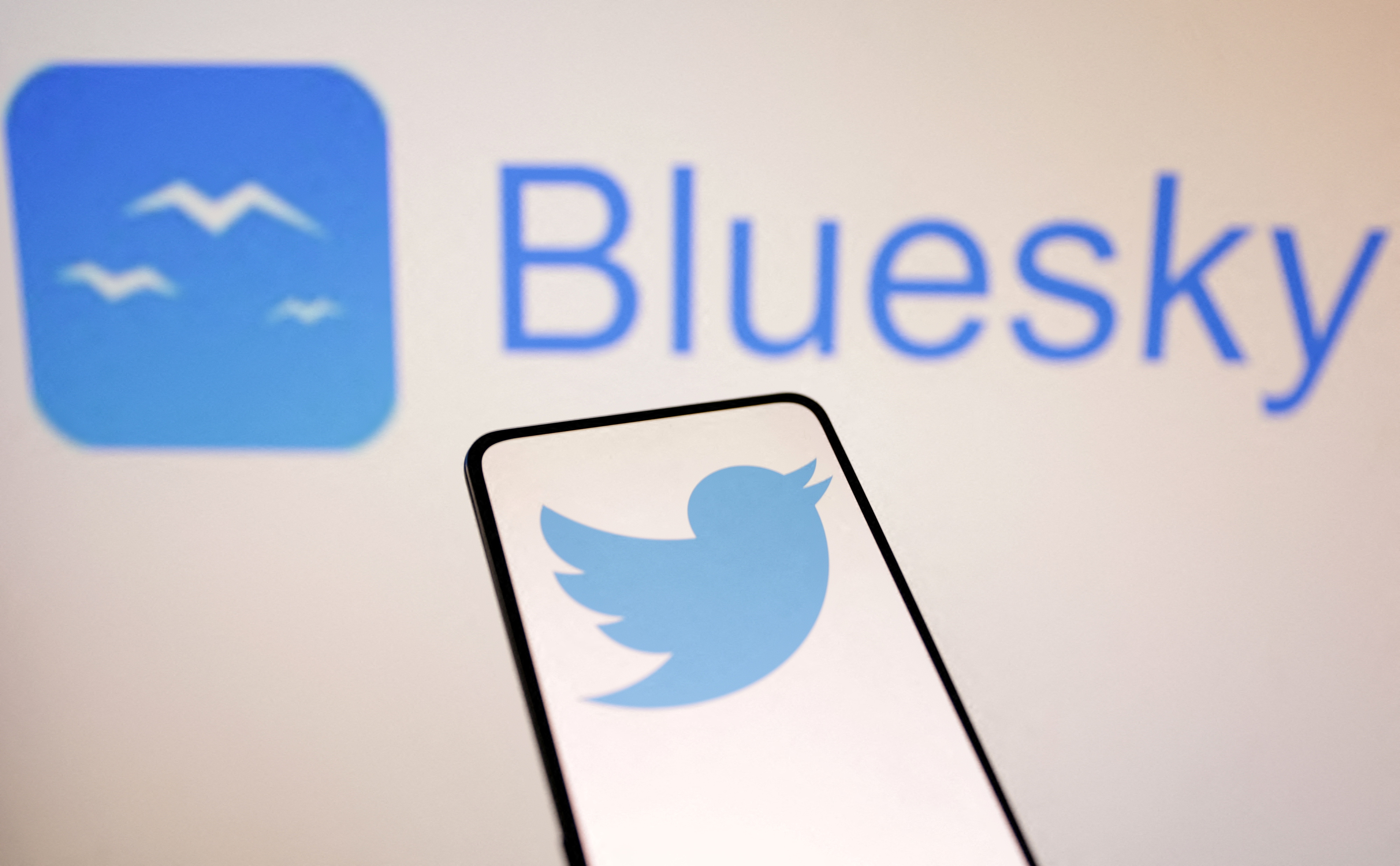 Twitter and Bluesky logos are seen in this illustration taken November 7, 2022. REUTERS/Dado Ruvic/Illustration