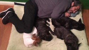 La triste despedida de Ricardo Darín a su perro «Ronko»: «Te deseo paz»