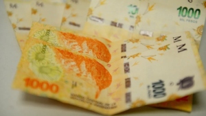 Moratoria previsional 2023 de Anses: cómo jubilarse sin aportes