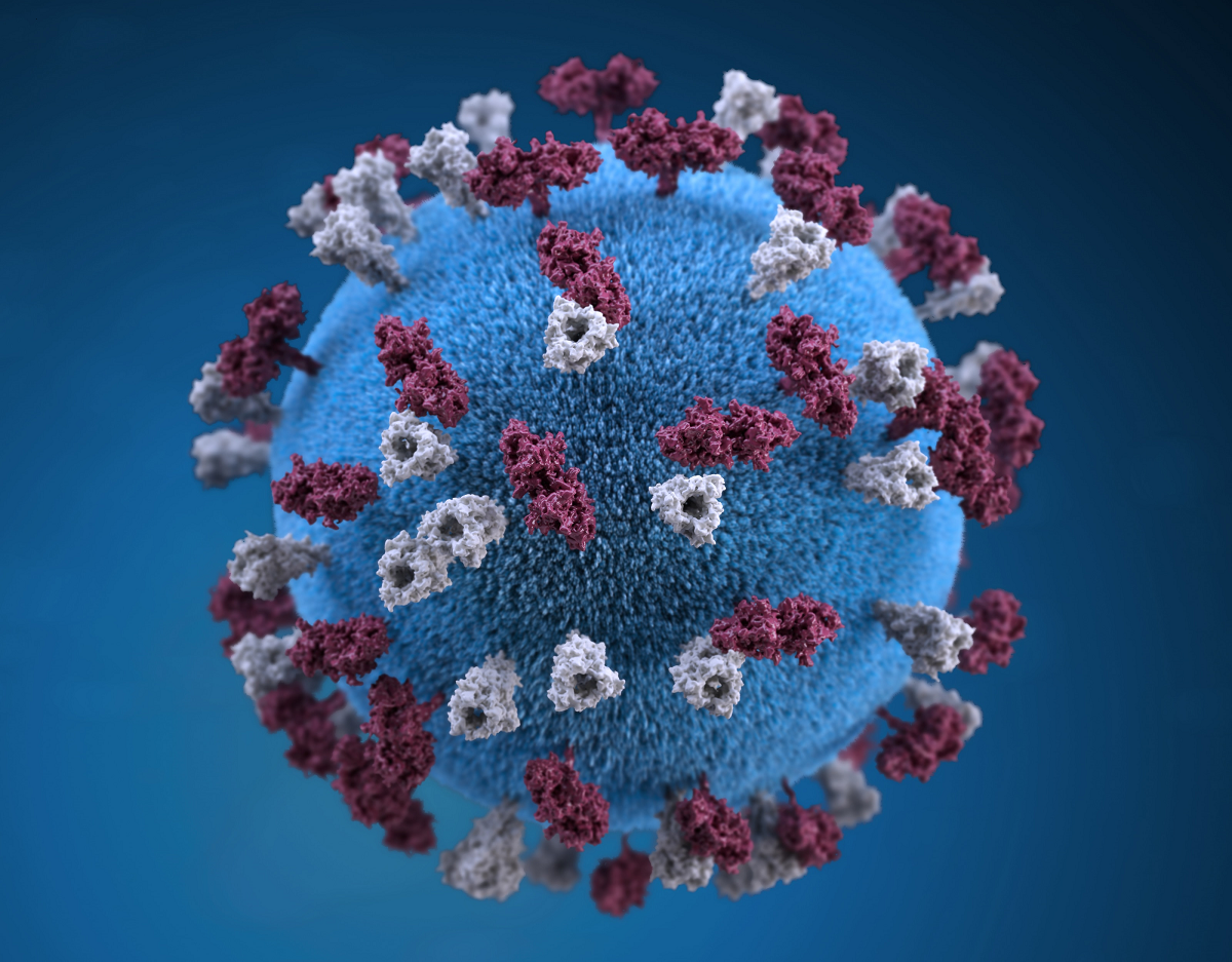 Una sola salud. La infección por el coronavirus obligó a considerar más la interacción entre animales, ambiente y seres humanos