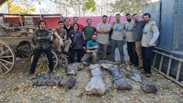 Equipo. Investigadores del Conicet estudiaron los restos de Chucarosaurus diripienda. Vivió hace 90 millones de años