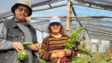 Gerardo y María apuestan todo a la producción en San Patricio del Chañar.