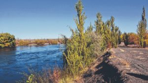 El paseo costero del río Neuquén avanza y busca ser un espacio para admirar la belleza del valle