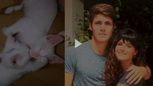 Valentina, la hermana de Marcos de Gran Hermano, publicó un video de sus gatitas bebés