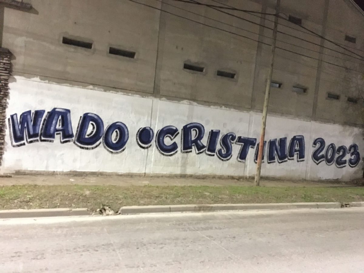 Las pintadas posicionan a "Wado" de Pedro como el candidato del oficialismo. 