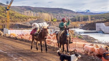 El criancero pasa con su rebaño, su burro y sus perros. Las obras se detienen al norte de la Patagonia. Un oficio tan antiguo como noble y una gran obra de ingeniera, en una foto .  