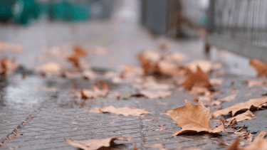 Clima: el pronóstico del tiempo en Neuquén y Río Negro para este jueves 11 de mayo de 2023