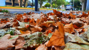 Clima: el pronóstico del tiempo en Neuquén y Río Negro para este miércoles 10 de mayo de 2023
