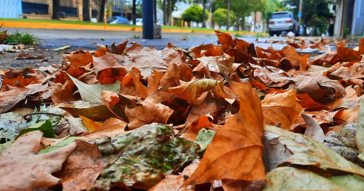 Clima el pronóstico del tiempo en Neuquén y Río Negro para este