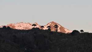 Así amaneció Villa Pehuenia: postales para enamorarse en el arranque del Festival del chef