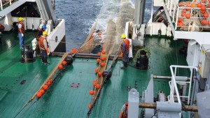 Un estudio del recurso pesquero en el Golfo San Matías alerta por su «sobreexplotación»