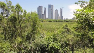 Buscan intensamente en una reserva ecológica de Buenos Aires al presunto abusador de una mujer