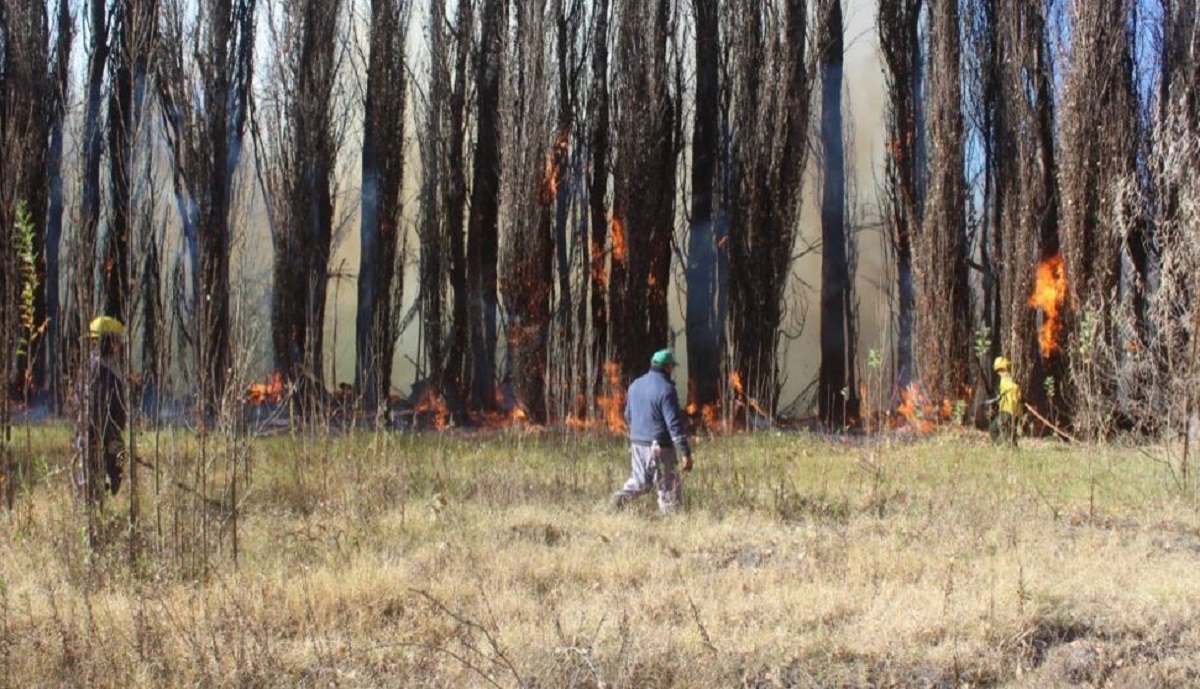 Aseguran que el incendio fue intencional. Foto: Centenariodigital.com