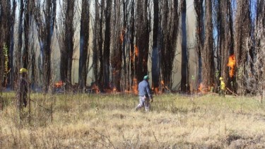 Aseguran que el incendio fue intencional. Foto: Centenariodigital.com