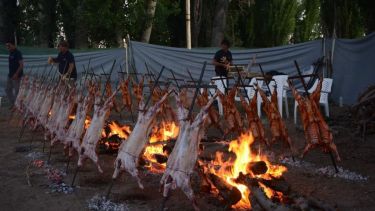 Los precios cambian de acuerdo al peso del chivito. Foto: archivo.