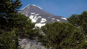 Guías de montaña se declaran en rebeldía por el paro de Parques Nacionales: «vamos a subir igual»