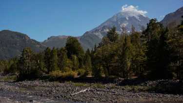Parque Nacional Lanín sin atención al público ¿Por qué hay restricciones en todo el país?