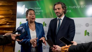 Hidrógeno Verde: para Arabela Carreras el proyecto de ley nacional es «indispensable»