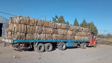 En dos semanas, trabajadores de la Cooperativa de Recicladores de Roca lograron recolectar 20 toneladas de cartón. Foto: prensa municipio de Roca