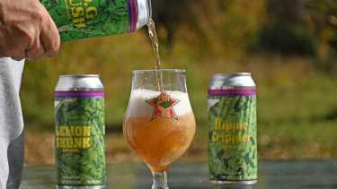 Cerveza y cannabis, la novedosa combinación de una fabrica de Cipolletti. Foto: Florencia Salto. 